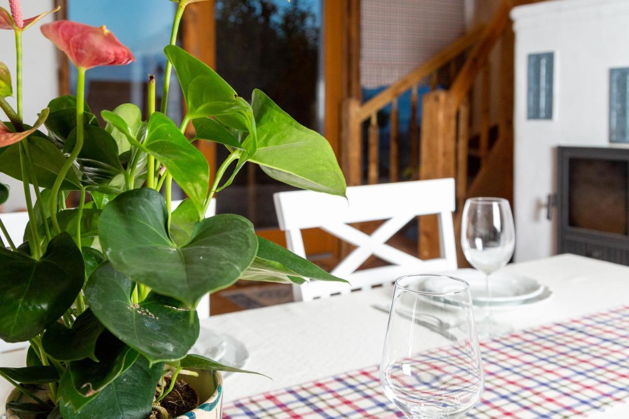 Casele Cu Stuf B&B Haus Ulrike Sălicea 外观 照片