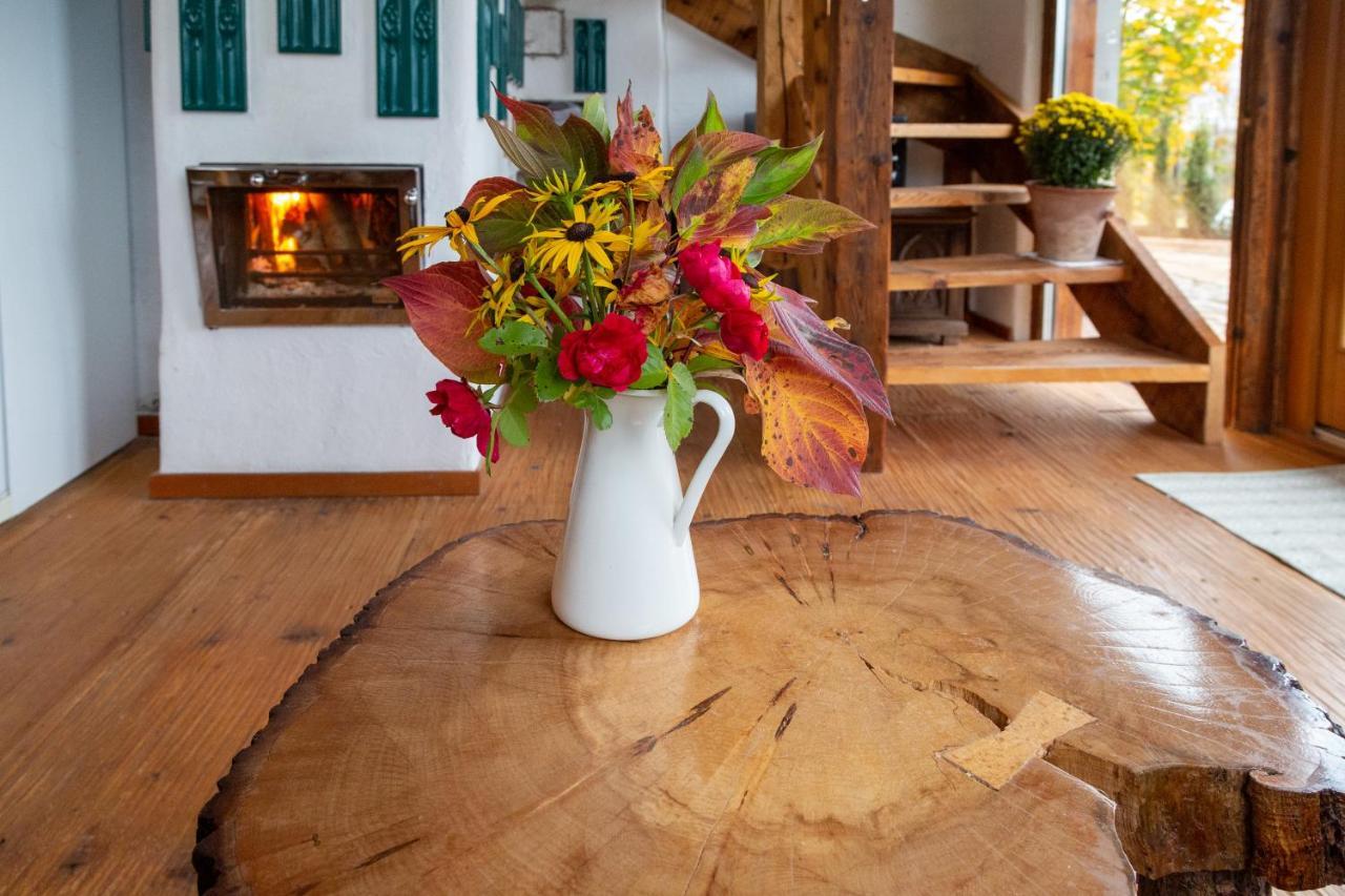Casele Cu Stuf B&B Haus Ulrike Sălicea 外观 照片