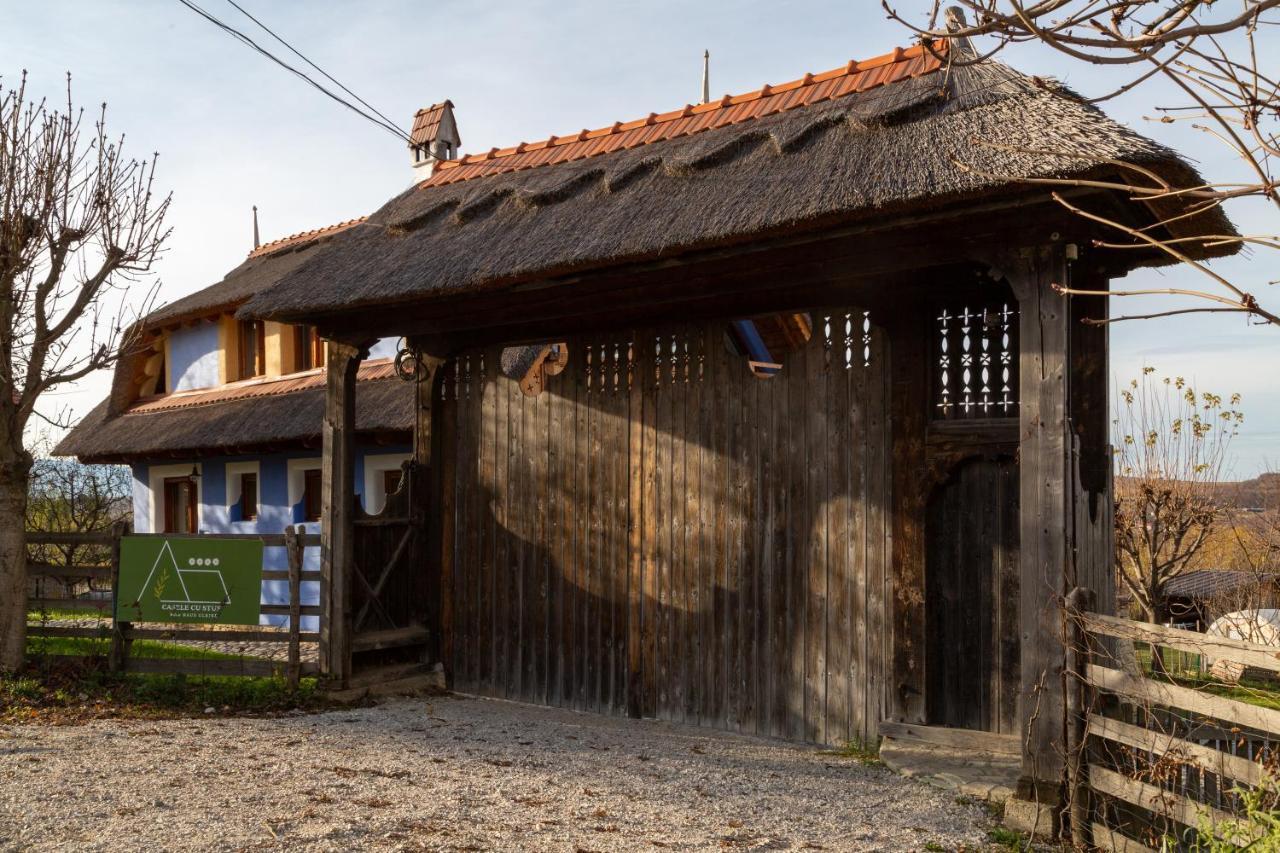 Casele Cu Stuf B&B Haus Ulrike Sălicea 外观 照片