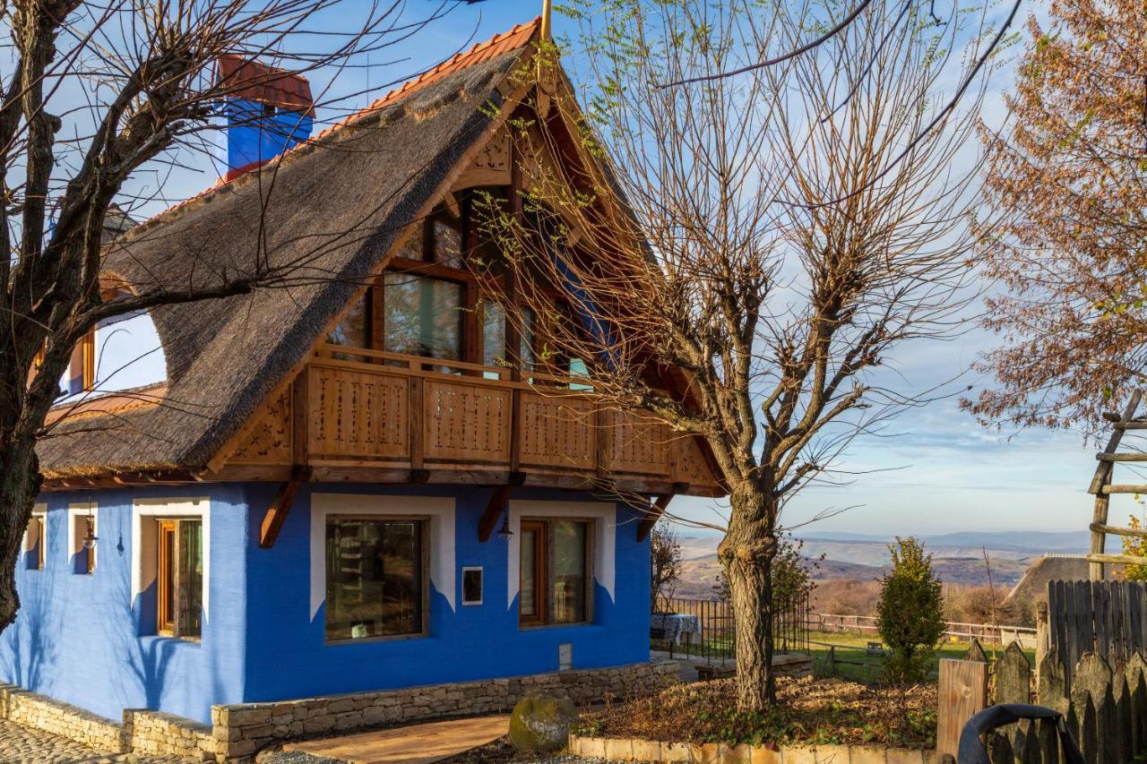 Casele Cu Stuf B&B Haus Ulrike Sălicea 外观 照片