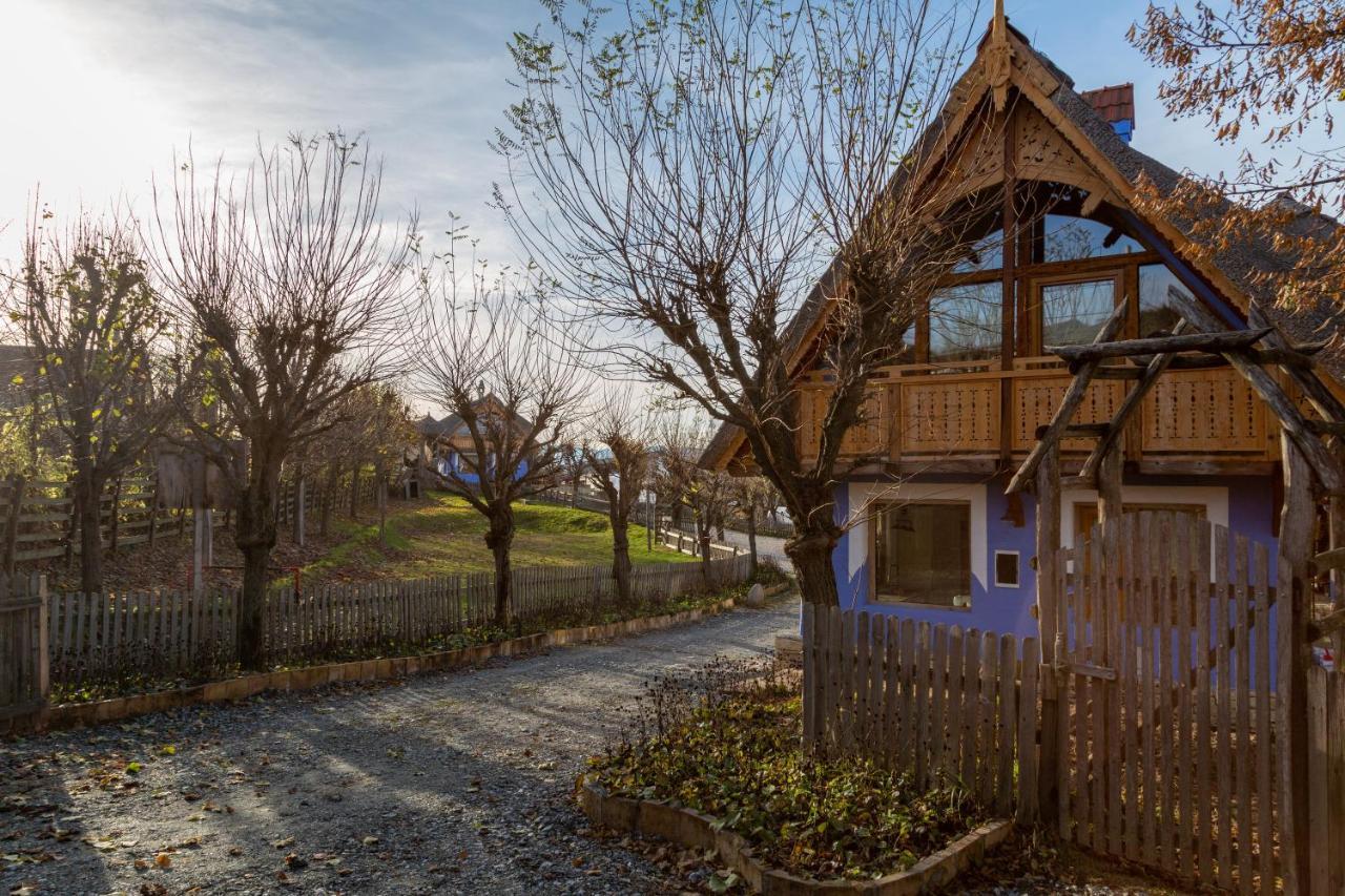 Casele Cu Stuf B&B Haus Ulrike Sălicea 外观 照片