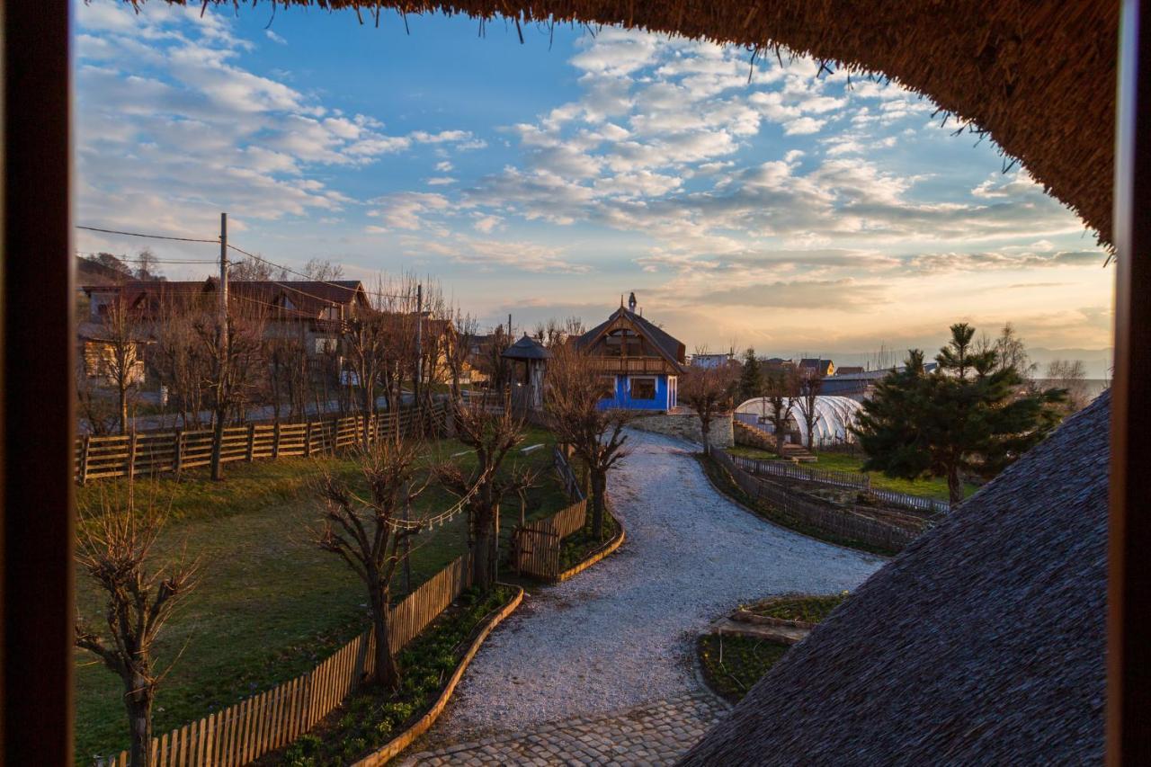 Casele Cu Stuf B&B Haus Ulrike Sălicea 外观 照片