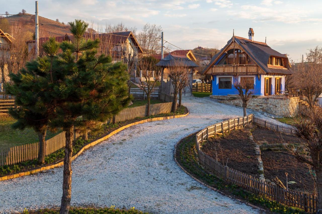 Casele Cu Stuf B&B Haus Ulrike Sălicea 外观 照片