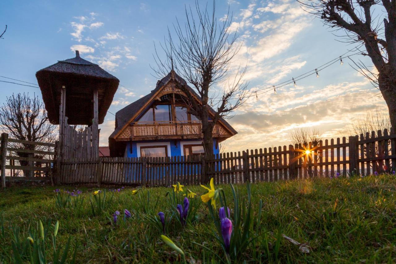 Casele Cu Stuf B&B Haus Ulrike Sălicea 外观 照片