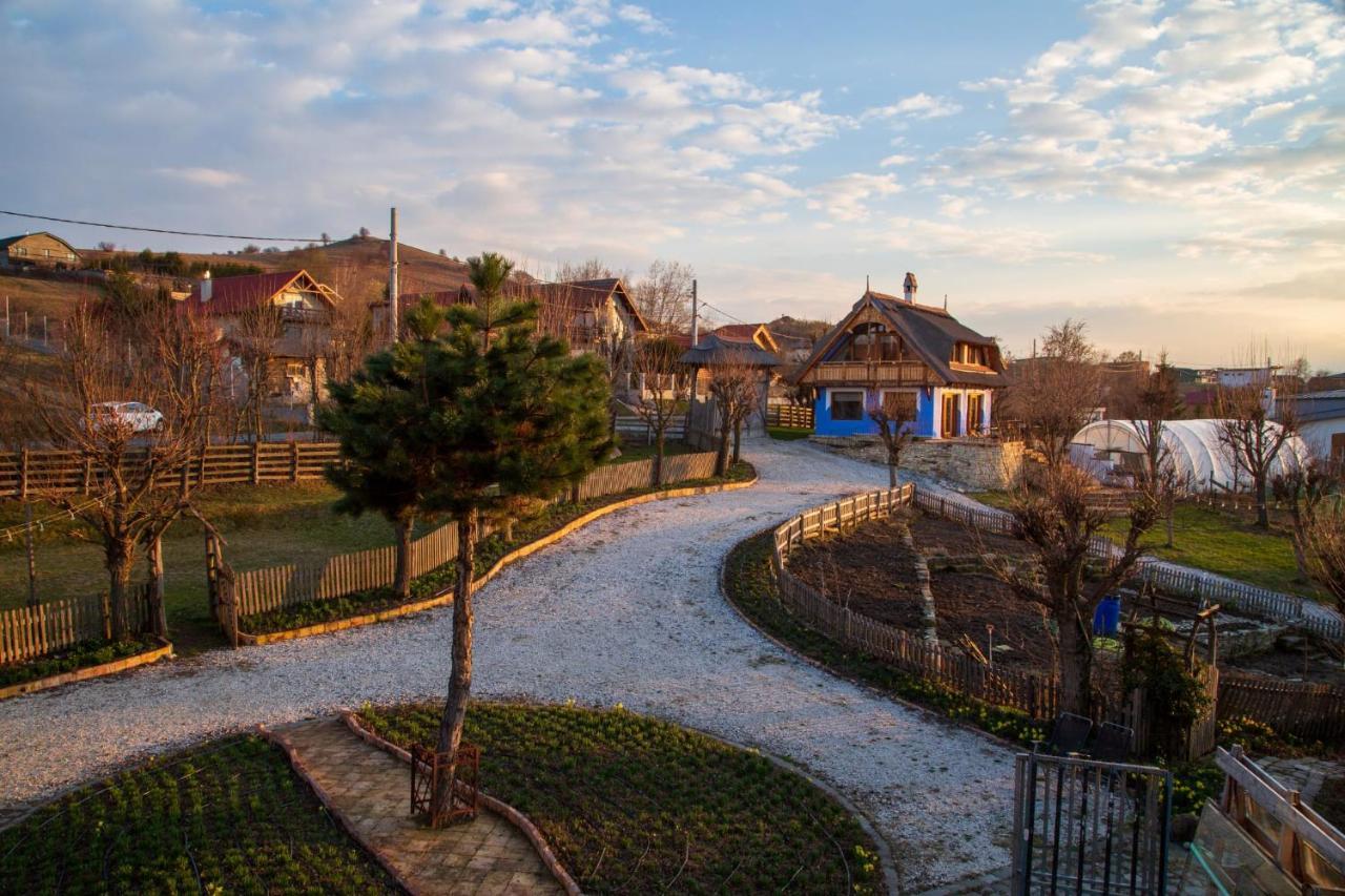 Casele Cu Stuf B&B Haus Ulrike Sălicea 外观 照片