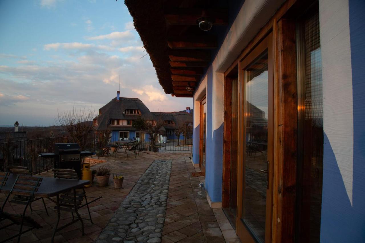 Casele Cu Stuf B&B Haus Ulrike Sălicea 外观 照片