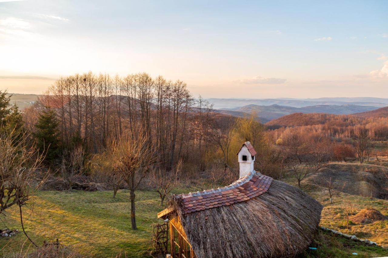 Casele Cu Stuf B&B Haus Ulrike Sălicea 外观 照片