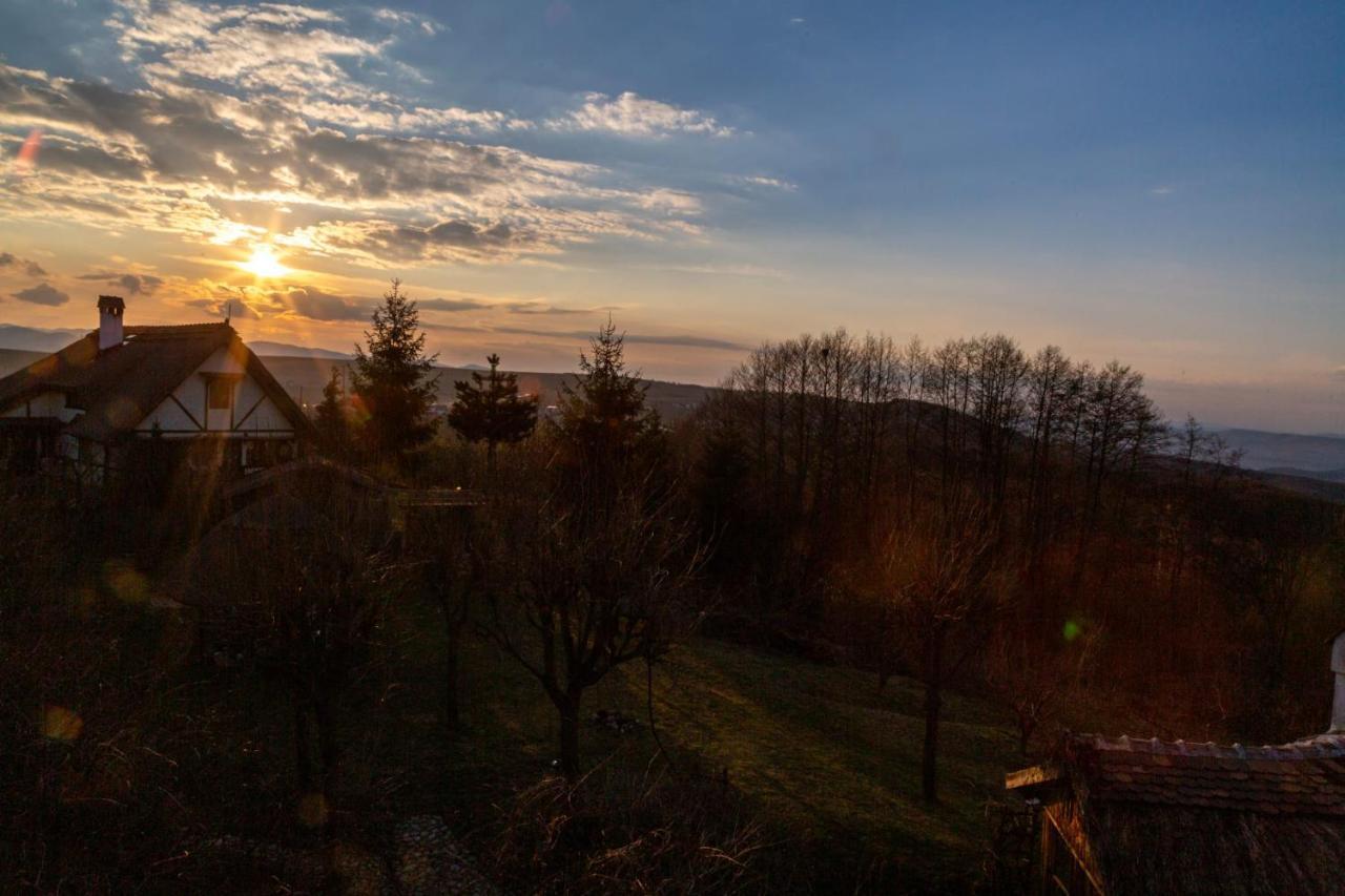 Casele Cu Stuf B&B Haus Ulrike Sălicea 外观 照片