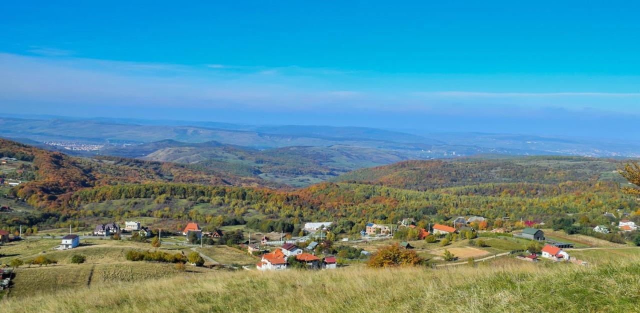 Casele Cu Stuf B&B Haus Ulrike Sălicea 外观 照片