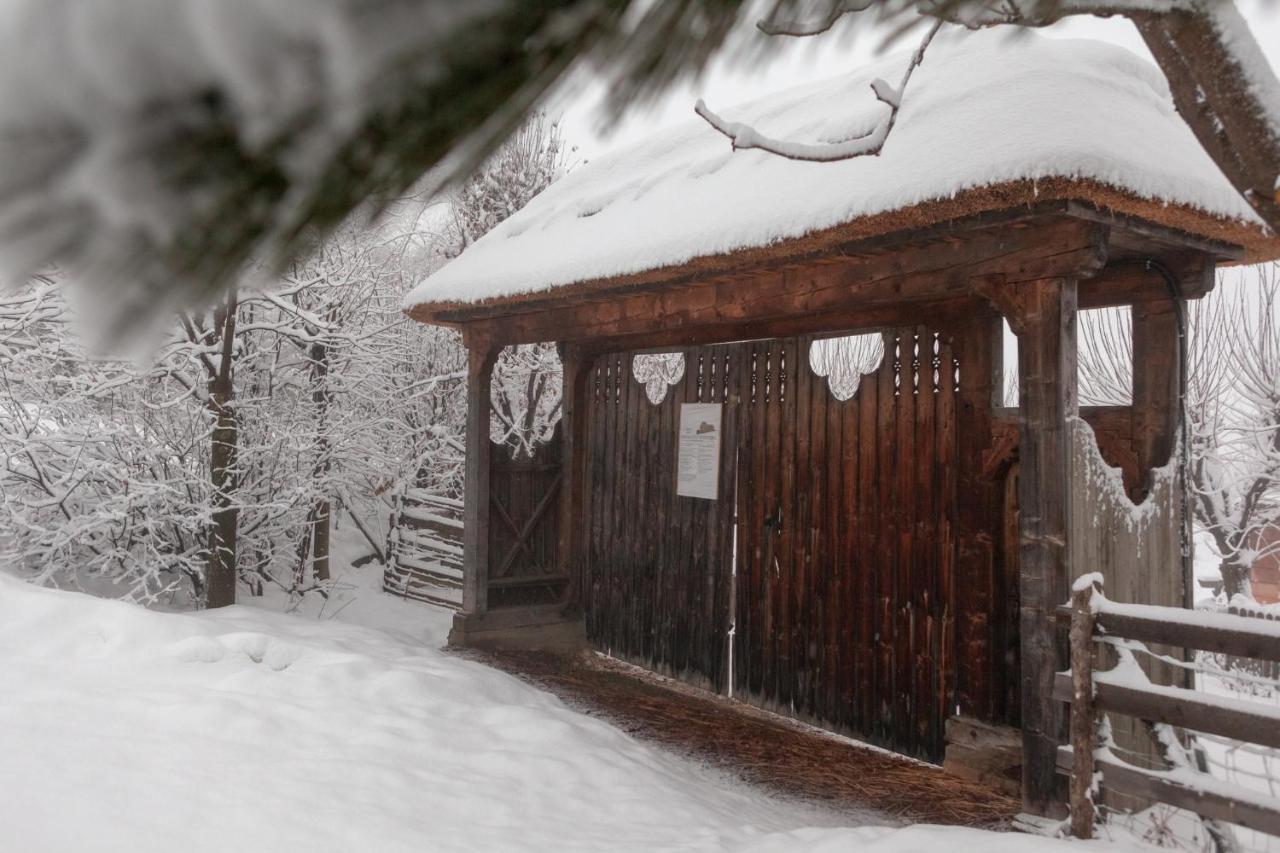 Casele Cu Stuf B&B Haus Ulrike Sălicea 外观 照片