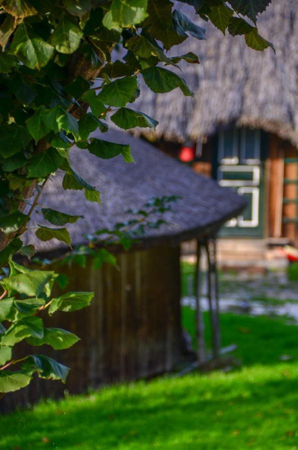 Casele Cu Stuf B&B Haus Ulrike Sălicea 外观 照片
