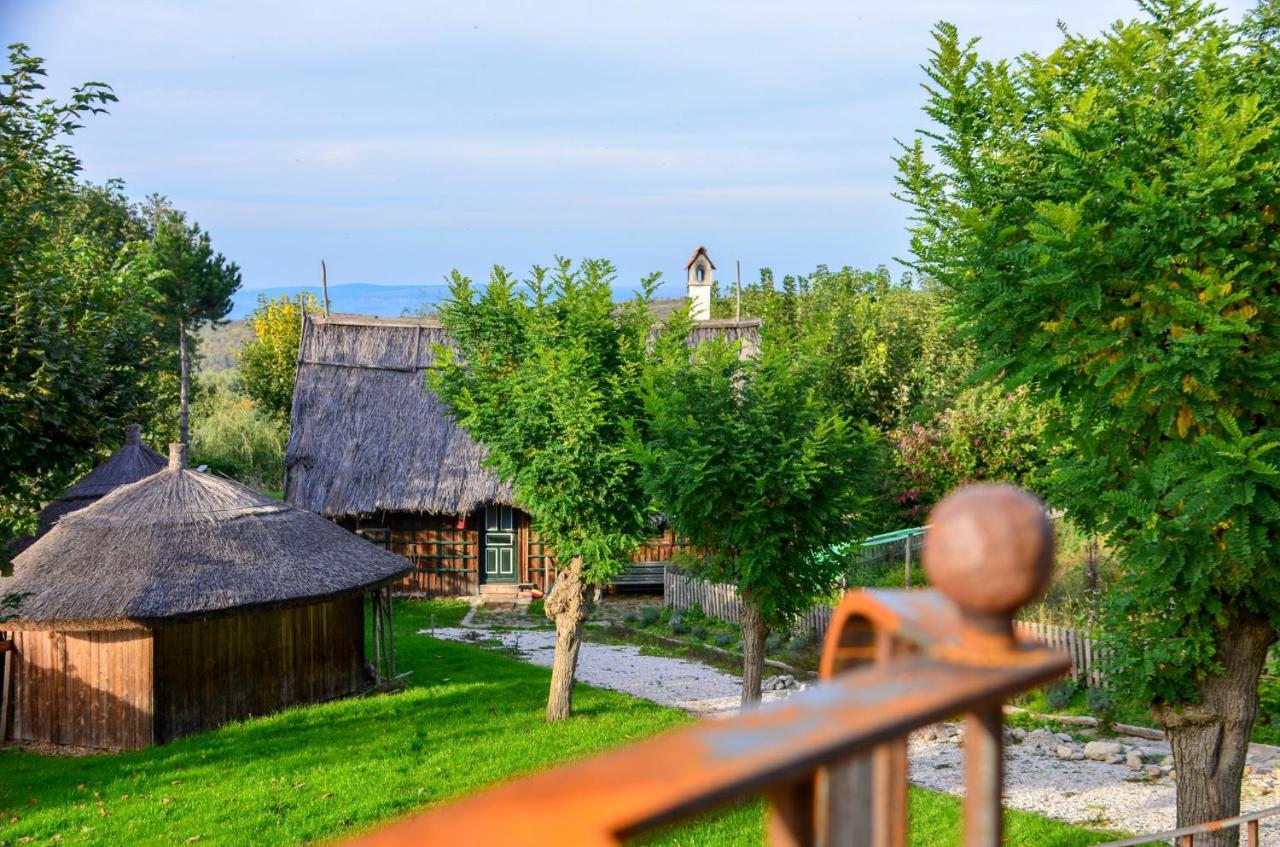 Casele Cu Stuf B&B Haus Ulrike Sălicea 外观 照片