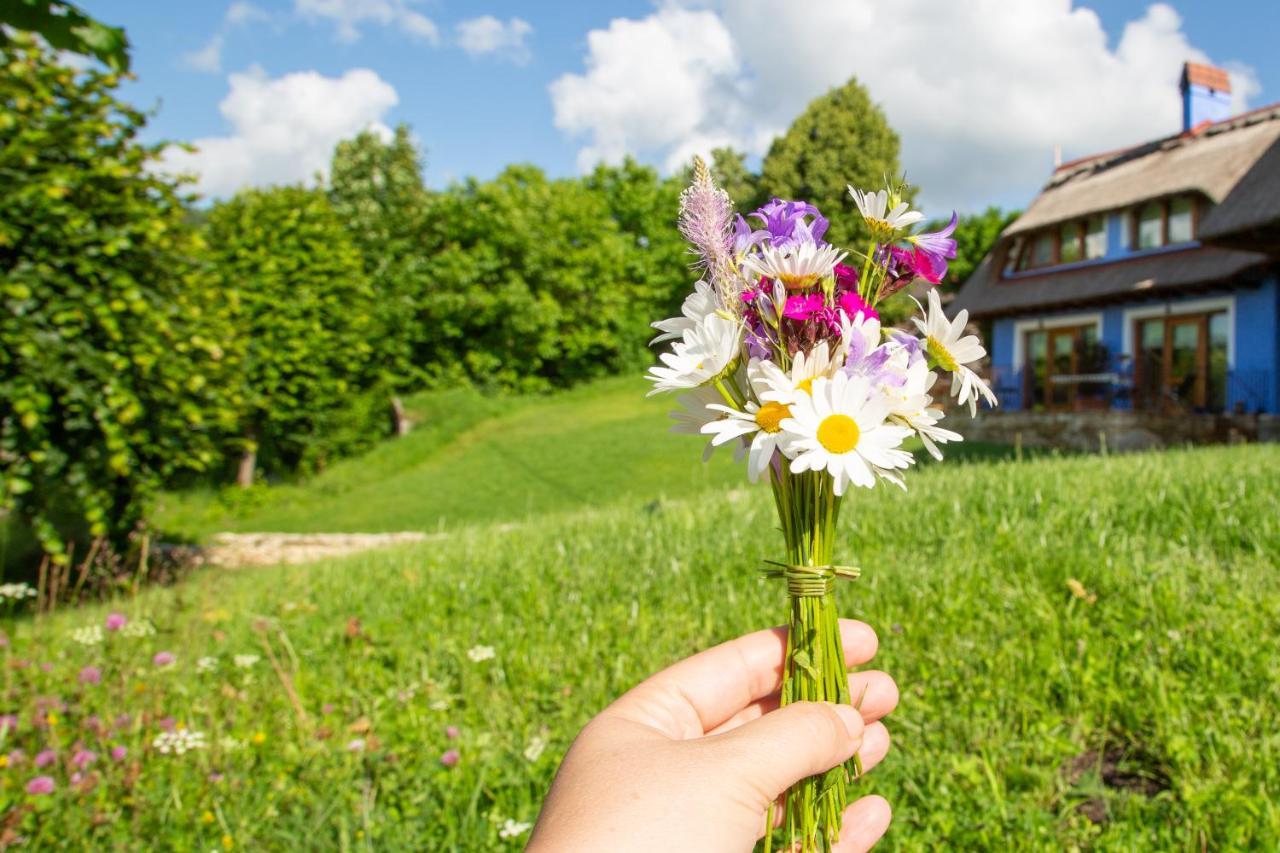 Casele Cu Stuf B&B Haus Ulrike Sălicea 外观 照片