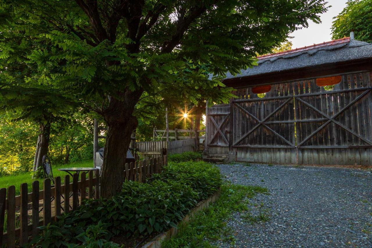 Casele Cu Stuf B&B Haus Ulrike Sălicea 外观 照片