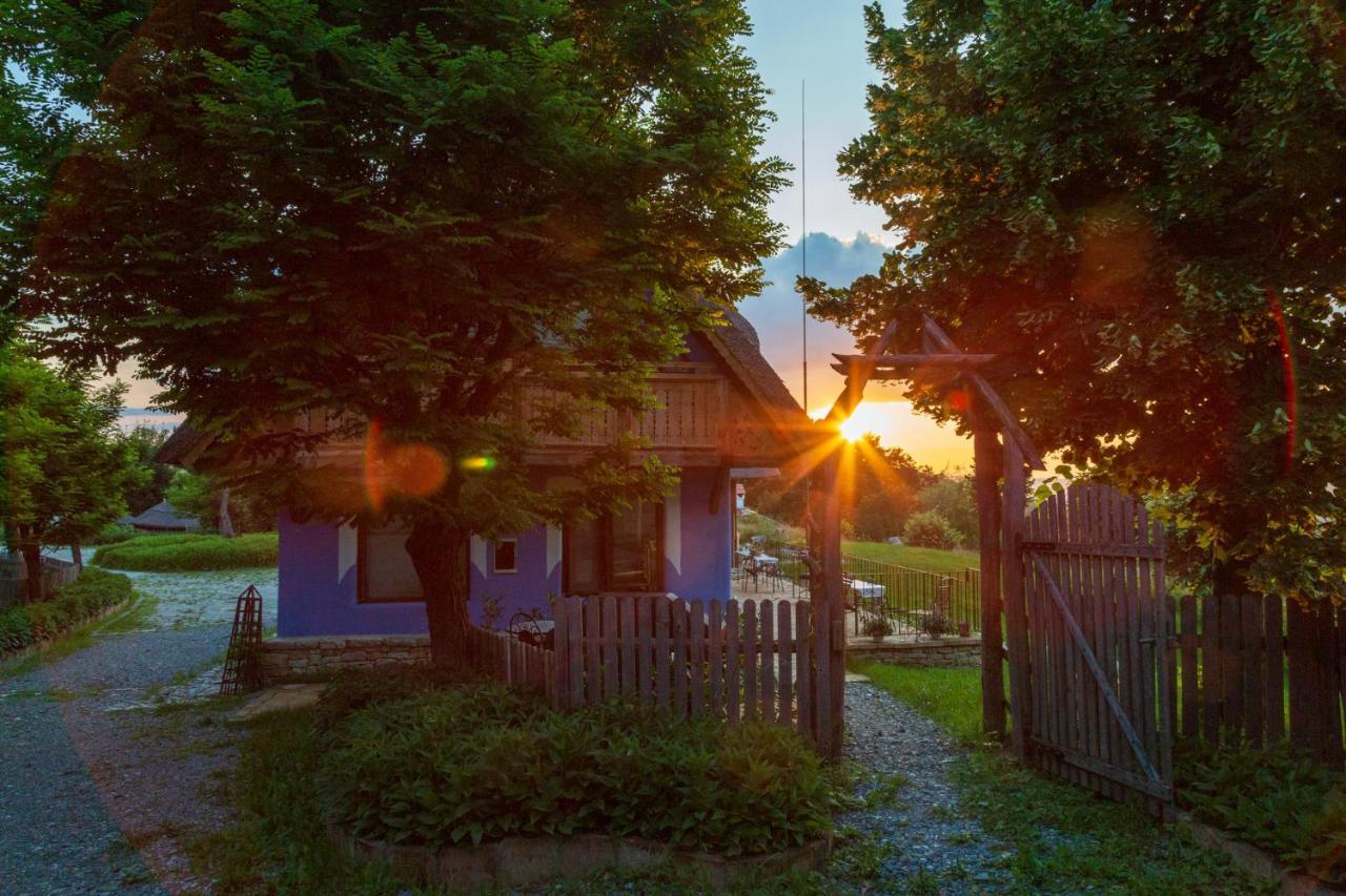 Casele Cu Stuf B&B Haus Ulrike Sălicea 外观 照片